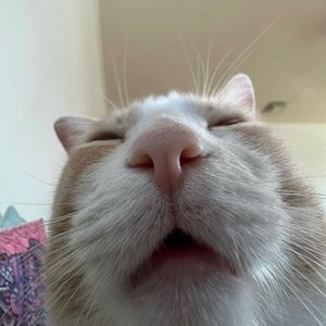 Meet your Posher, Zach